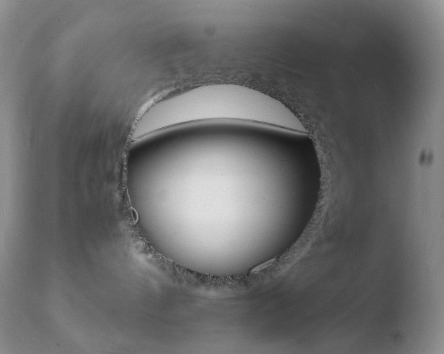 X0000110770144200906151003