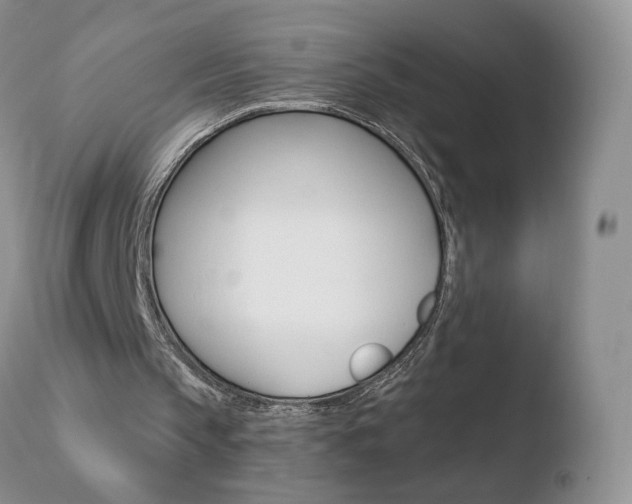 X0000110770145200906151002