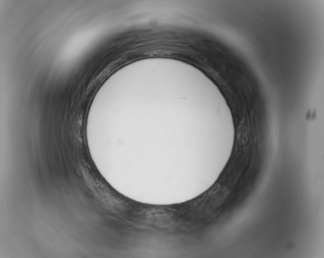 X0000110770146200906151002