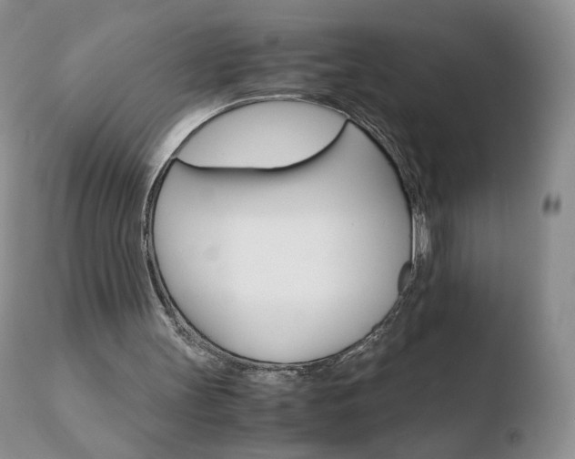 X0000110770147200906151002
