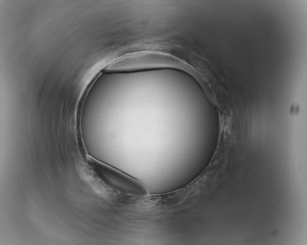 X0000110770148200906151002