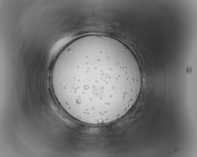 X0000110770149200906151002