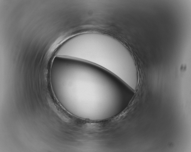 X0000110770150200906151002