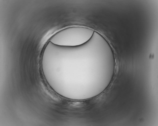 X0000110770151200906151002