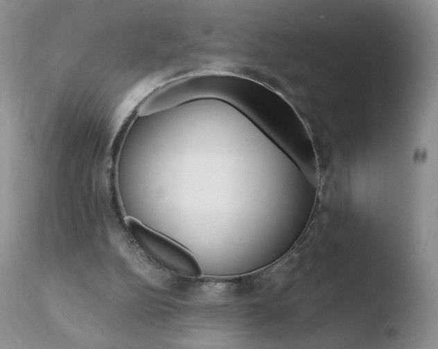 X0000110770152200906151002