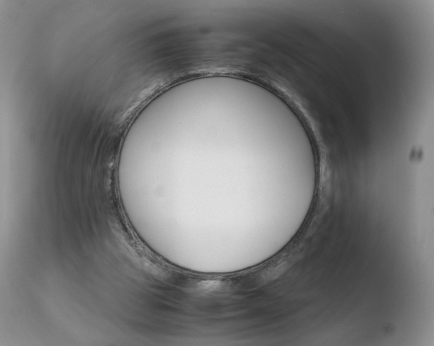 X0000110770153200906151002