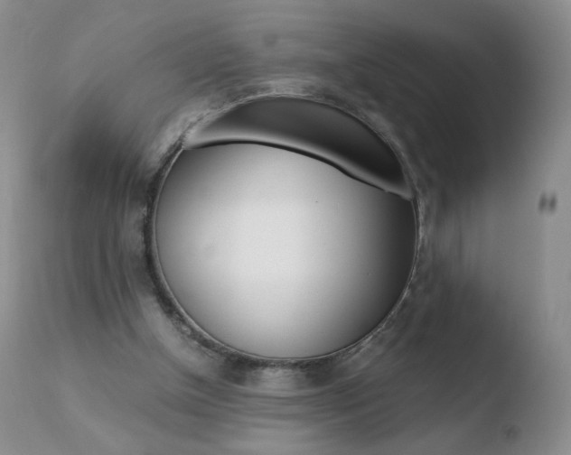 X0000110770154200906151002
