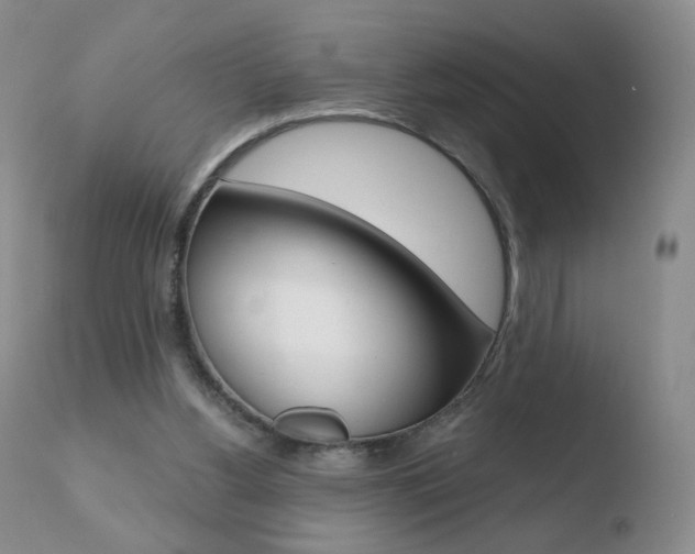 X0000110770156200906151002