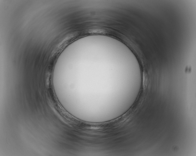 X0000110770157200906151002
