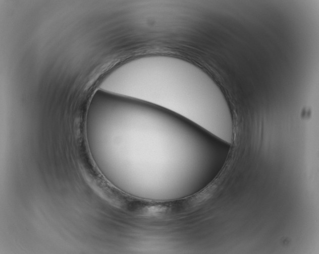 X0000110770158200906151002