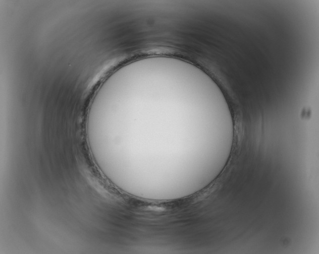 X0000110770159200906151002