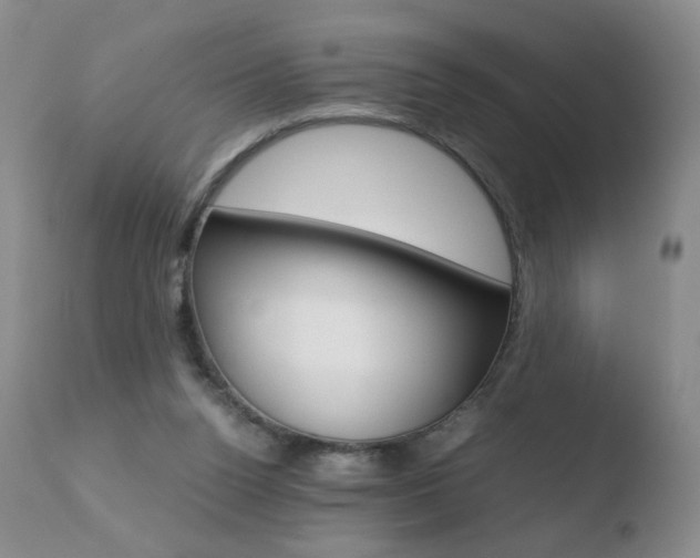 X0000110770160200906151002