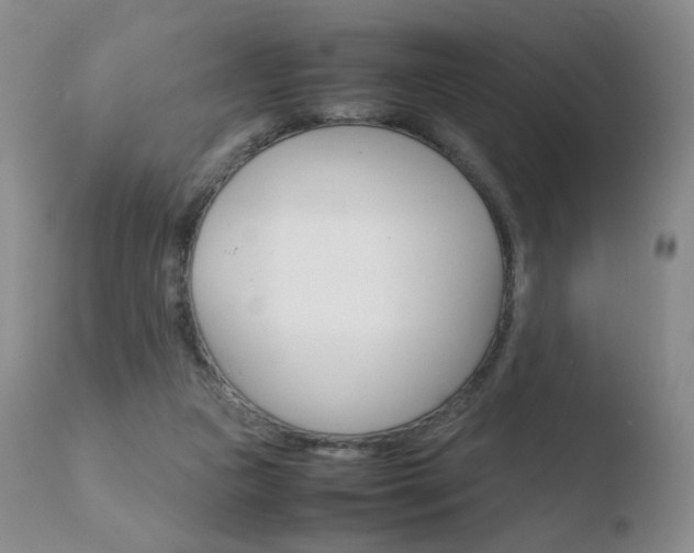 X0000110770161200906151002