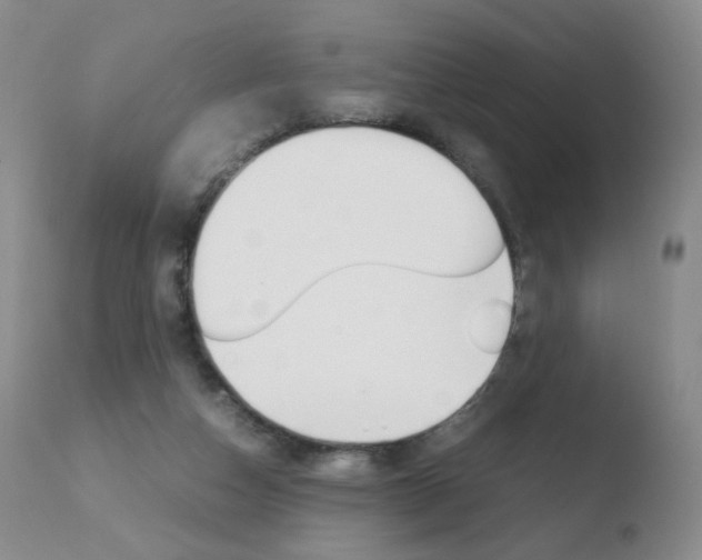 X0000110770162200906151002