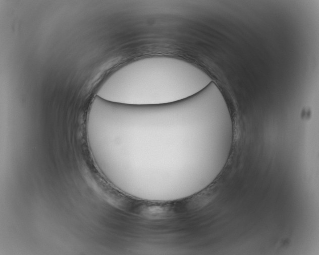 X0000110770163200906151002