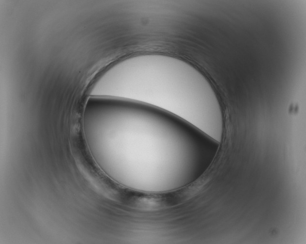 X0000110770164200906151002