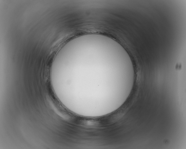X0000110770165200906151002