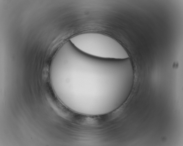 X0000110770166200906151002