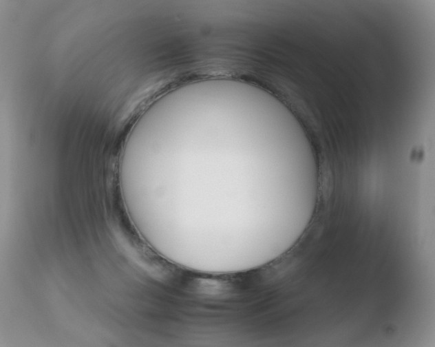X0000110770167200906151002
