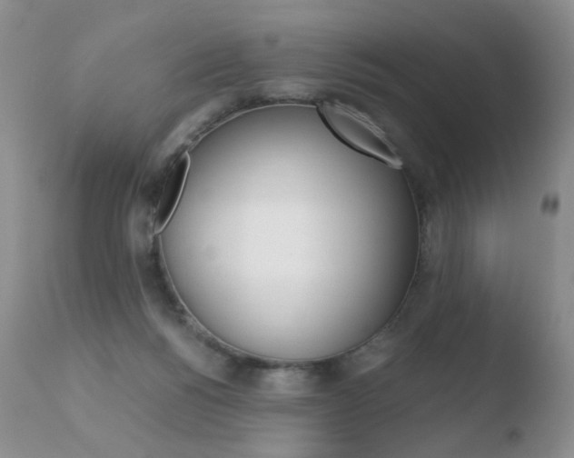 X0000110770168200906151002