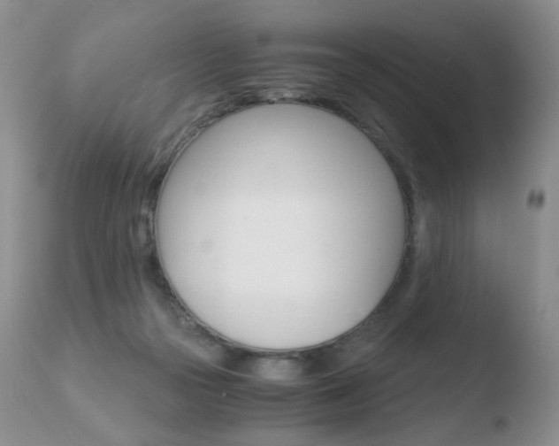 X0000110770169200906151002