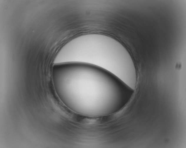 X0000110770170200906151002
