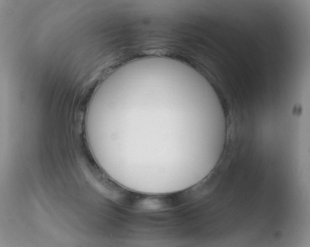 X0000110770171200906151002