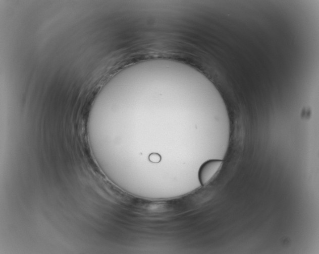 X0000110770173200906151003