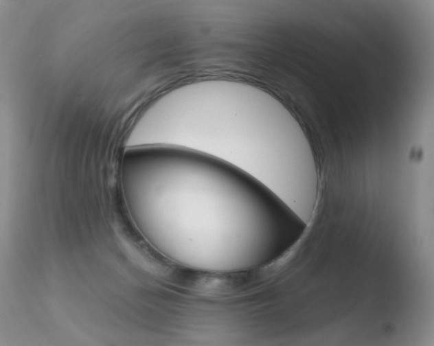 X0000110770174200906151003