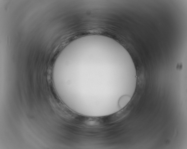 X0000110770175200906151003