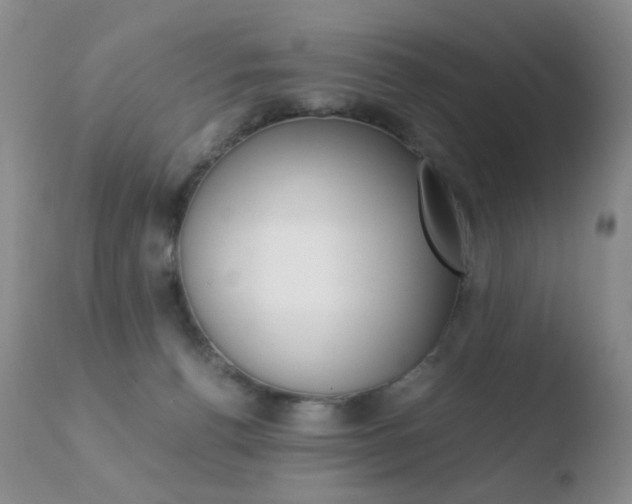 X0000110770176200906151003