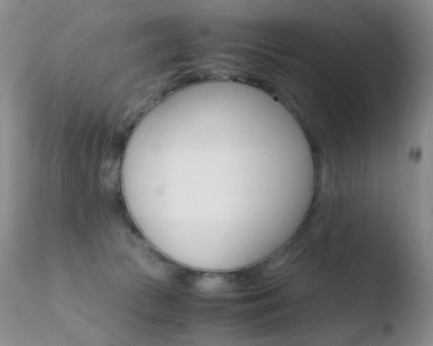 X0000110770177200906151003