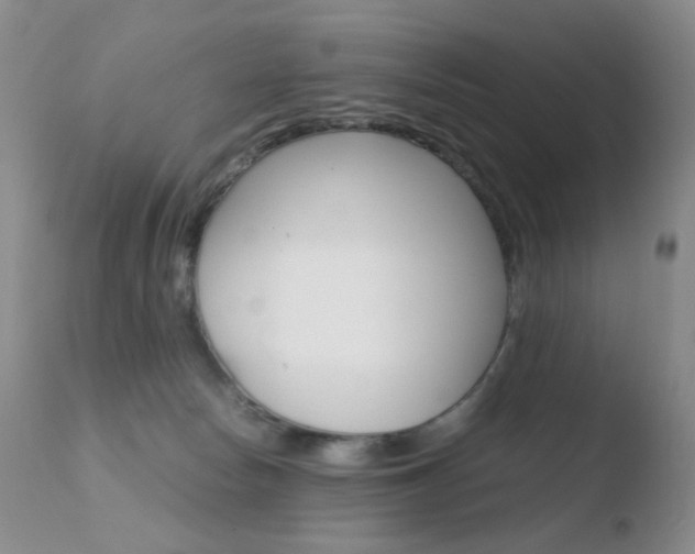 X0000110770178200906151003