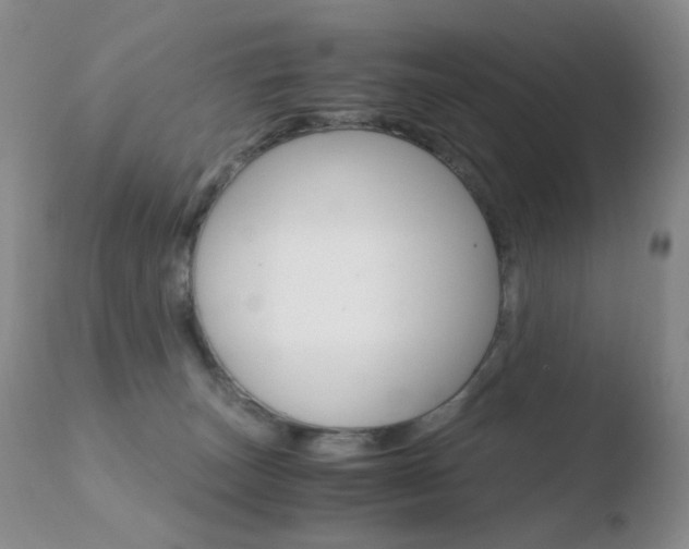 X0000110770179200906151003