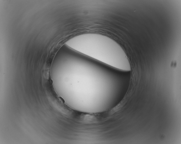 X0000110770180200906151003