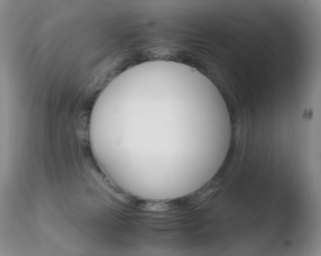 X0000110770181200906151003