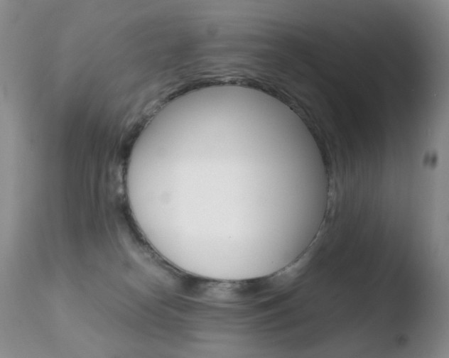 X0000110770182200906151003