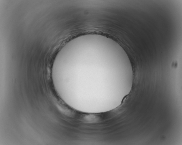 X0000110770183200906151003