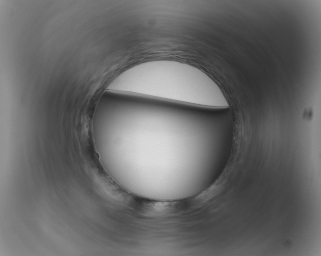 X0000110770184200906151003