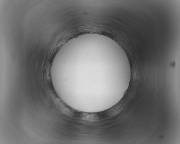 X0000110770185200906151003