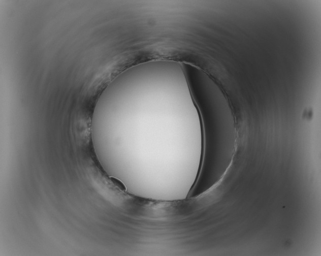 X0000110770186200906151003