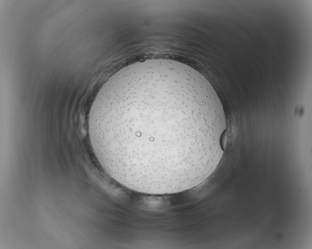 X0000110770187200906151003