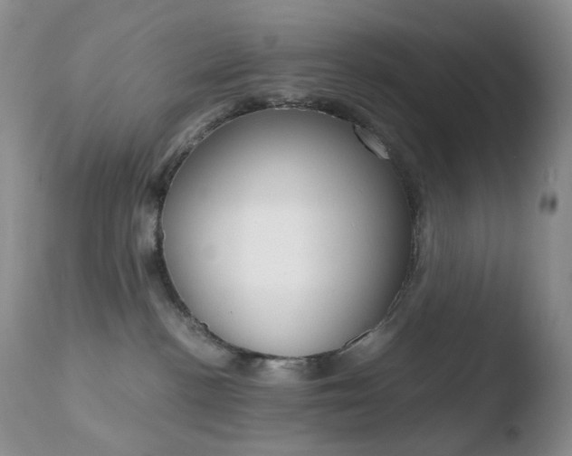 X0000110770188200906151003