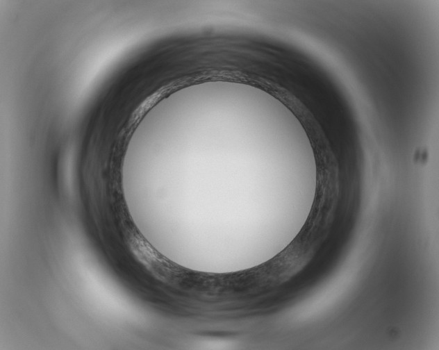X0000110770189200906151003