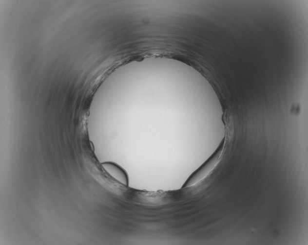 X0000110770191200906151003