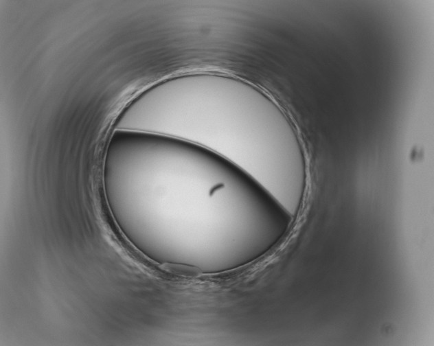 X0000110770193200906151002