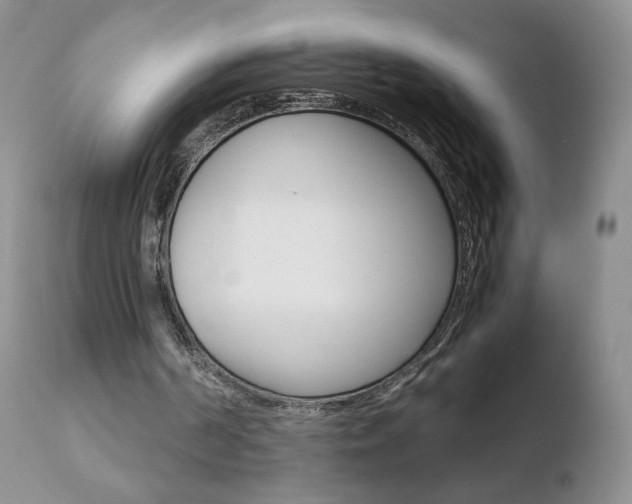 X0000110770194200906151002