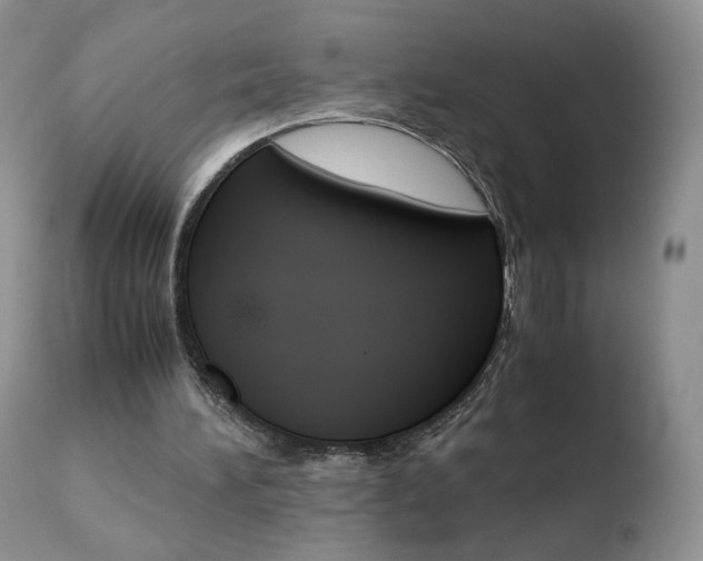 X0000110770196200906151002