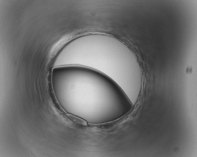 X0000110770197200906151002