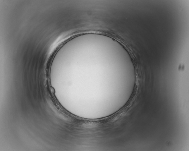 X0000110770198200906151002
